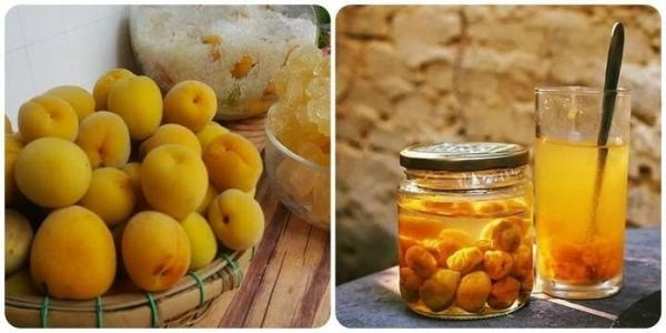 Quả mơ có tác dụng gì với sức khỏe?