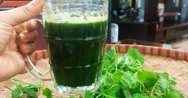 Loại rau mọc đầy bờ ruộng, hái về ăn mát gan thải độc, nhiều người nhổ bỏ không biết