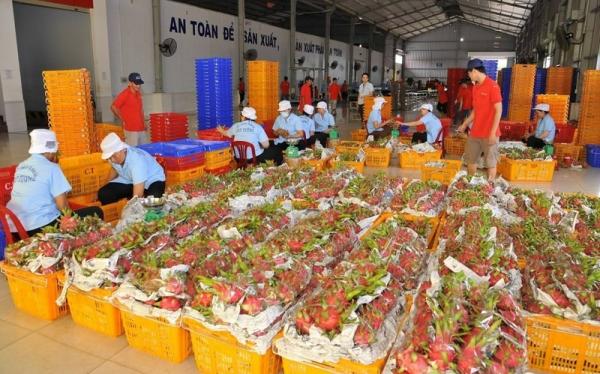 Mỹ và Trung Quốc chiếm bao nhiêu thị phần xuất khẩu nông sản của Việt Nam?