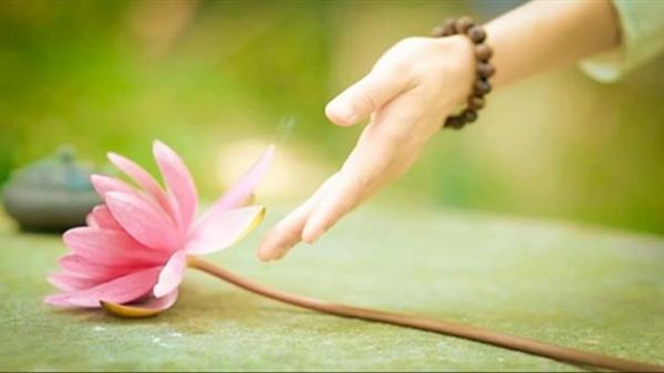Tất cả những gì bạn cho đi, sẽ quay trở lại với bạn. Bạn có tin không?