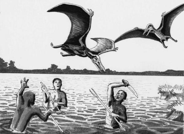 Loài chim ác quỷ sát hại người tàn nhẫn, dân châu Phi kinh hãi