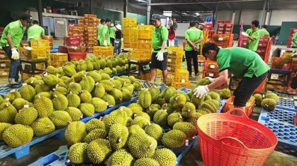 Xuất khẩu đón sóng thị trường tỉ dân