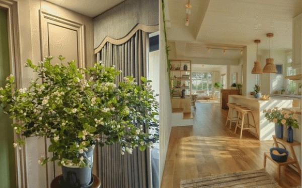 Nhà bị âm khí: 6 dấu hiệu nhận biết và cách hóa giải giúp làm ăn thăng tiến, con cái may mắn