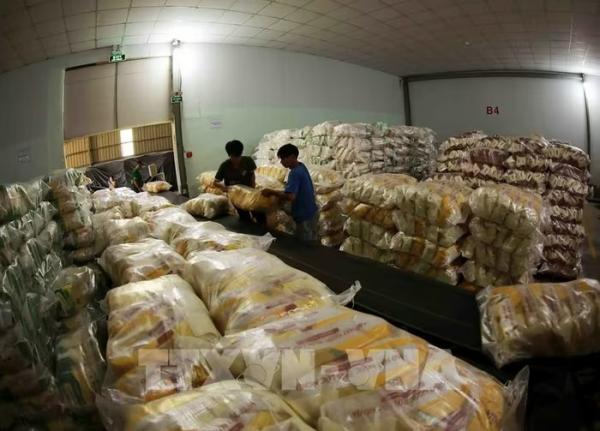 Giá gạo xuất khẩu giảm nhẹ do nhu cầu yếu