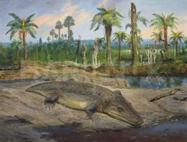 Loài lưỡng cư tiền sử nửa cá nửa ếch từng là “quái vật đầm lầy”