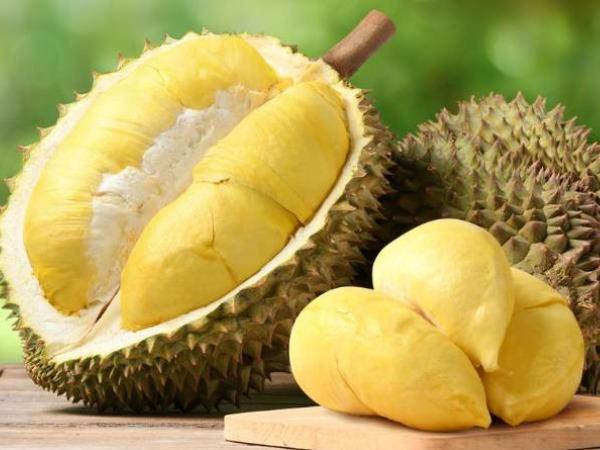 Không nên kết hợp sấu riêng với 3 thứ này kẻo “mang họa vào thân”