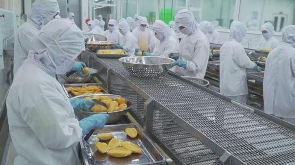 Lãi suất huy động bật tăng mùa cao điểm sản xuất cuối năm