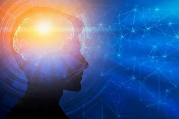 Giải mã 5 “độ tuổi” bí mật của bộ não con người