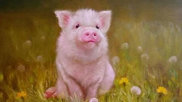 Chúc mừng 3 con giáp ăn nên làm ra, giàu có bậc nhất tháng 12