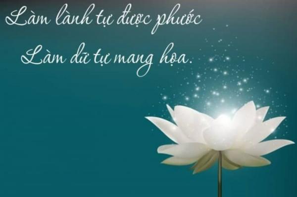 5 dấu hiệu này cho thấy nghiệp báo đang đến với người đã làm hại bạn