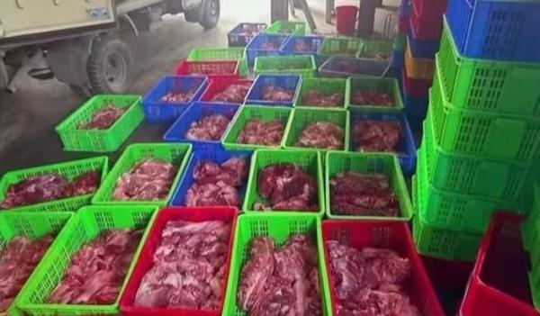 MXH lan truyền tin Đài Loan từng phát hiện Đồ hộp Hạ Long nhiễm virus