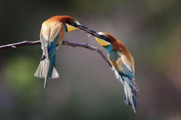 Ngày sinh Âm lịch “vượng số”: Cả đời ít sóng gió, sống an nhàn hơn người