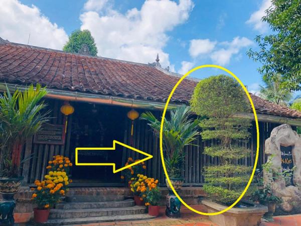 Nhà có 3 điều này phúc khí lớn lao: Càng ngày càng giàu có