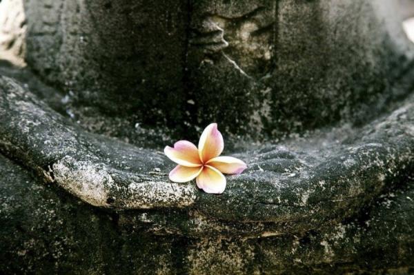 5 điều cần tâm niệm mỗi ngày để cuộc đời an nhiên tự tại