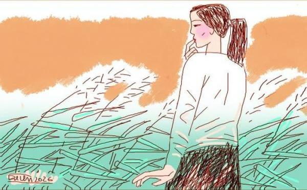 Cỏ lau gọi nắng