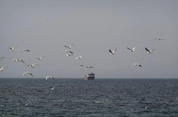 Tướng Iran cảnh báo tàu thuyền đi qua eo biển Hormuz sẽ bị “đốt cháy”