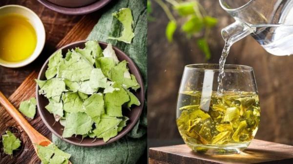 Uống nước lá sen, c‌ơ th‌ể nhận được 4 loại ích tuyệt vời