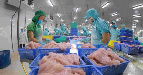 Xuất khẩu thủy sản 2026: Cần những điều kiện để bứt tốc
