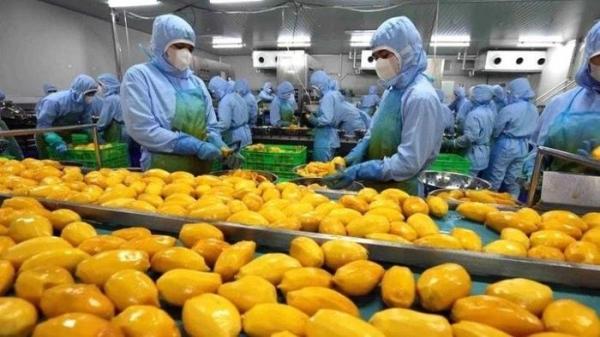 Nhiều quốc gia siết quy định về an toàn thực phẩm, kiểm dịch động thực vật