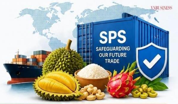 Xuất khẩu Việt Nam trước làn sóng siết chuẩn toàn cầu