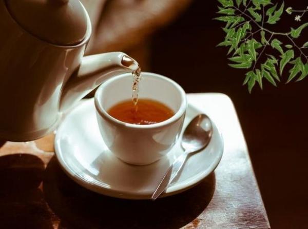 Uống lá đinh lăng hàng ngày có tốt không?