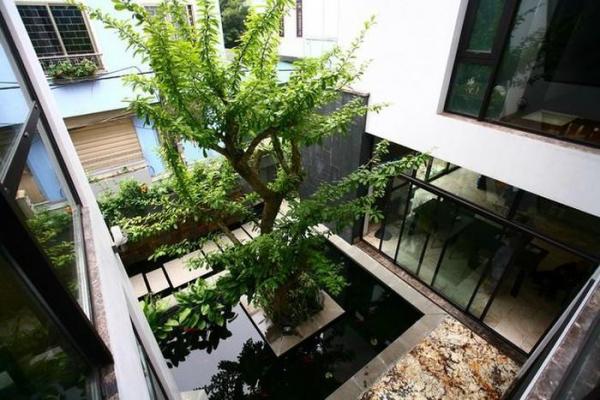 5 dấu hiệu chứng tỏ nhà bạn nằm trên “kho báu”, ở càng lâu càng thịnh vượng