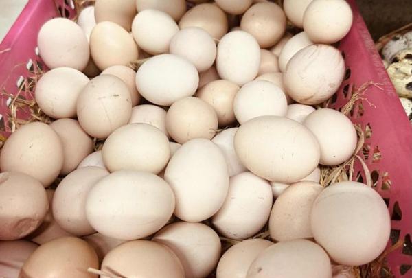 Nghiên cứu gần 40.000 người chỉ ra tác dụng của ăn 5 quả trứng mỗi tuần
