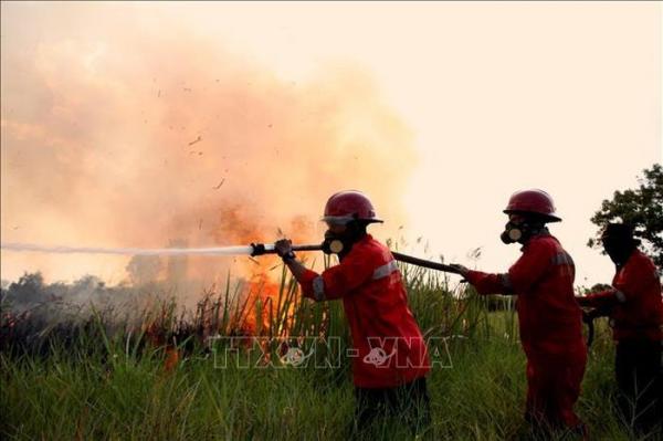 Indonesia huy động hàng trăm quân nhân ứng phó cháy rừng, phục hồi hệ sinh thái