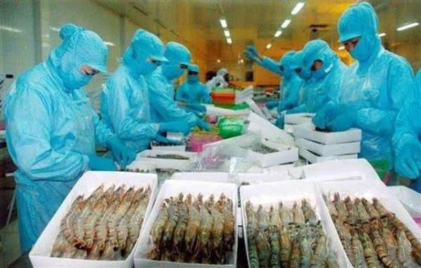 Xuất khẩu thủy sản vượt 9,1 tỷ USD, tăng trưởng đứng trước bài toán bền vững