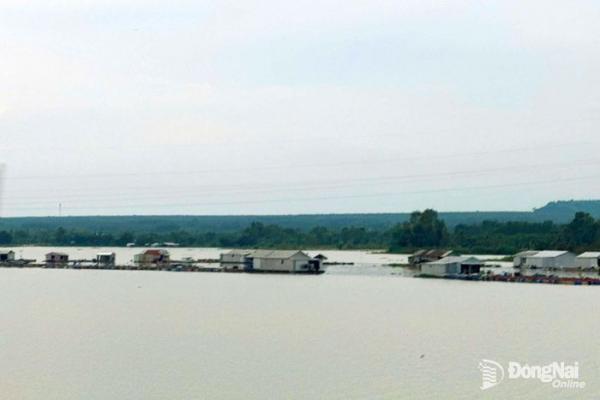 Lũ trên sông La Ngà vượt mức báo động 2, cảnh báo nguy cơ ngập lụt khu vực ven sông