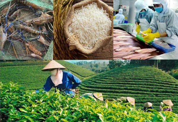 Xuất khẩu nông lâm thủy sản khởi sắc, các nhóm hàng chủ lực duy trì đà tăng trưởng